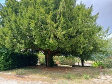 Belle maison en pierre, volumes généreux et charme à MORNAC