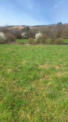Terrain constructible