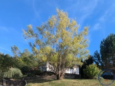 Maison familiale avec jardin arboré à Azay-sur-Cher