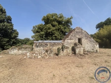 Terrain 1,5 ha avec ancienne maison en pierre à réhabiliter 