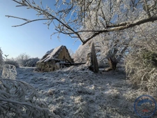 Terrain 1,5 ha avec ancienne maison en pierre à réhabiliter 