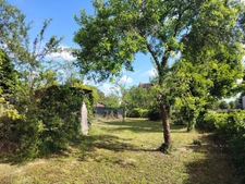 À SAISIR : 502 m2 avec puits arboré   21 000 EUR seulement ! 