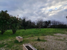 Propriété d'exception avec gîte et maison d'habitation et st