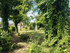 À SAISIR : 502 m2 avec puits arboré   21 000 EUR seulement ! 