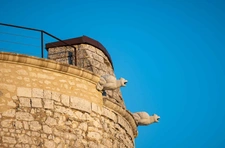 Château rénové d'exception   Propriété événementielle & rési