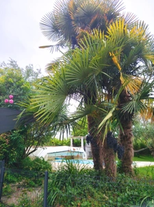 Maison familiale avec piscine chauffée   Calme absolu à Civr