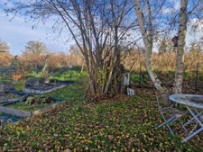 pavillon 3ch, recent, jardin garage