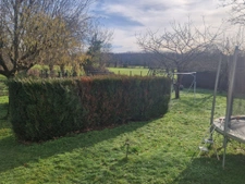 maison 15min du Mans 4ch terrain et local cial