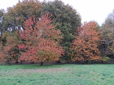 maison et terrain a batir