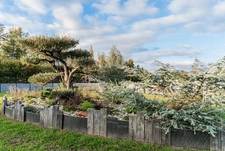 grde maison 4ch, grd terrain, campagne