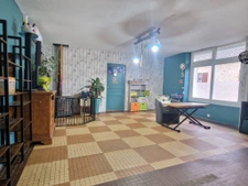 plain pied 2ch, travaux, dependance et terrain bourg