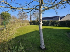 Maison rénovée 3 chambres BELLIGNE