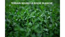 Terrain constructible de 800m2 LA ROCHE BLANCHE