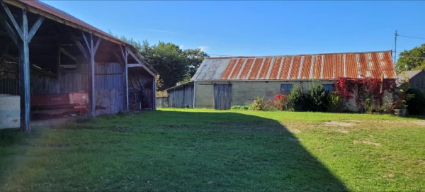 VENDU !  Beau terrain de plus d'1 hectare avec ses dépendances