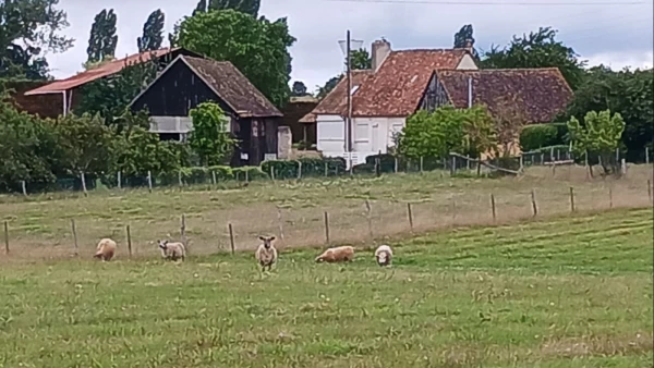La campagne : élever des animaux , jardiner au calme