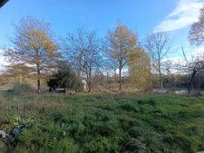 4 murs un toit sur 2 hectares à la campagne
