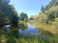 fermette avec studio et étang