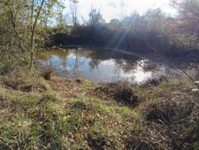 4 murs un toit sur 2 hectares à la campagne