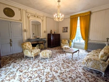 Château à fort potentiel + dépendances