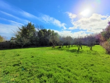 Terrain de 1000m2