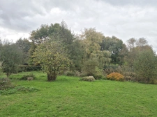Maison familiale en pierres rénovée 4 chambres sur beau terr