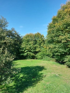Maison de campagne proche du Mans