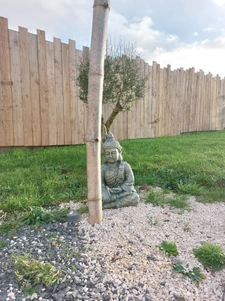 Maison indépendante