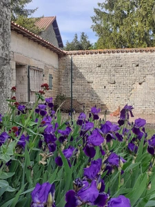 longère en pierres avec granges , 3 chambres, possibilité ch