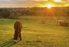 Domaine d'exception au coeur de la campagne, 40 couchages, m