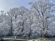 Spacious 4/5 Bedroom Character Home with Grand Open-Plan Liv