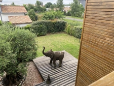 Maison bois 125 m2   Entre commodités, nature et qualité de 