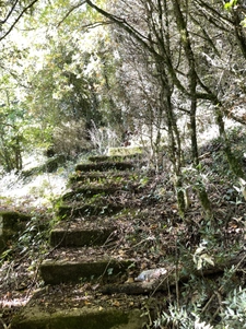 Maison inversée avec vue sur la Charente / Upside-down house