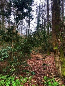 TERRAIN CONSTRUCTIBLE HORS LOTISSEMENT