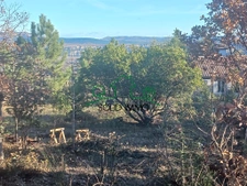 Très beau terrain arboré d'environ 2000m2 dont 810m2 constru