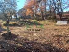 Très beau terrain arboré d'environ 2000m2 dont 810m2 constru