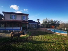Propriété de 2 maisons avec piscine sur 11ha Armous et Cau (