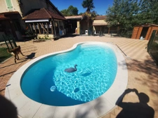 Propriété de 2 maisons avec piscine sur 11ha Armous et Cau (