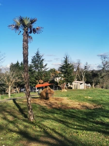 Propriété de 2 maisons avec piscine sur 11ha Armous et Cau (