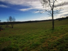 Ancien corps de ferme avec maison bigourdane + 9ha