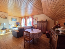 ENSEMBLE IMMOBILIER 3 LOGEMENTS A VENDRE NEULLIAC (56) BRETA