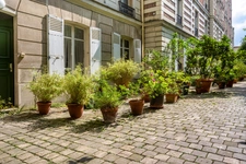 PARIS 5 -  CENSIER-DAUBENTON 1