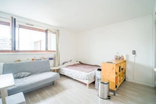 PARIS 15eme _ GEORGES PITARD 1