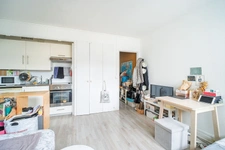 PARIS 15eme _ GEORGES PITARD 4