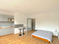 Studio meublé - Paris XV - Rue Leblanc 2