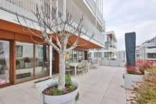 Issy les Moulineaux - Île Saint-Germain 1