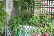 PARIS 16 - VILLAGE D'AUTEUIL 4