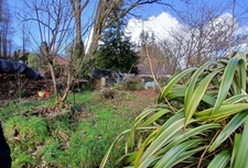 Charmante maison en pierre avec dépendance