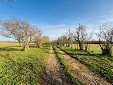 Longère rénovée de 240m2 environ dans un écrin de nature, sa