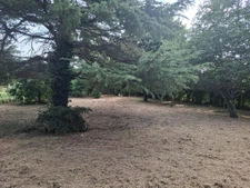 Terrain arboré de 817m2.