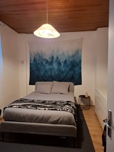 T2 loué Rue Magné - Quartier St Cyprien - Toulouse